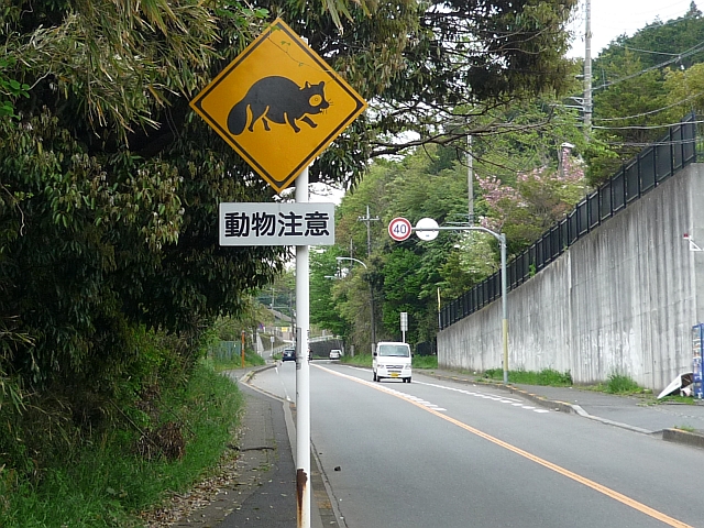 動物注意 道路標識写真